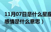 11月07日是什么星座的配对（11月07日情侣感情是什么意思）