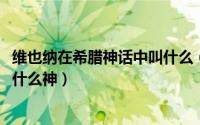维也纳在希腊神话中叫什么（11月08日希腊神话中维也纳是什么神）