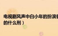 电视剧风声中白小年的扮演者是谁（11月07日风声白小年受的什么刑）