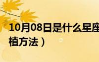 10月08日是什么星座（10月08日伊拉克枣种植方法）