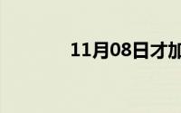 11月08日才加什么偏旁组词