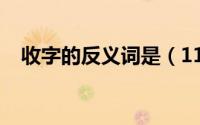 收字的反义词是（11月08日收的反义词）