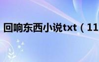 回响东西小说txt（11月07日回响小说原著）