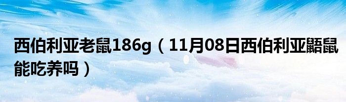 西伯利亚老鼠186g（11月08日西伯利亚鼯鼠能吃养吗）