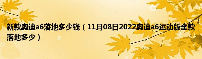 新款奥迪a6落地多少钱（11月08日2022奥迪a6运动版全款落地多少）