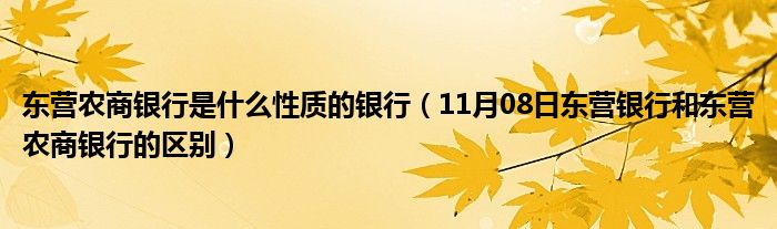 东营农商银行是什么性质的银行（11月08日东营银行和东营农商银行的区别）