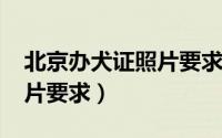 北京办犬证照片要求（10月08日北京犬证照片要求）