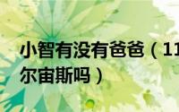 小智有没有爸爸（11月08日小智的爸爸是阿尔宙斯吗）