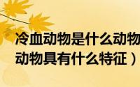 冷血动物是什么动物（10月08日什么是冷血动物具有什么特征）