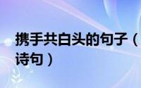 携手共白头的句子（11月08日携手共白头的诗句）