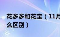 花多多和花宝（11月08日花多多与花宝有什么区别）