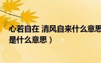 心若自在 清风自来什么意思（11月08日心若自由身沐长风是什么意思）
