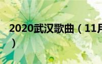 2020武汉歌曲（11月08日武汉的歌有哪些急）