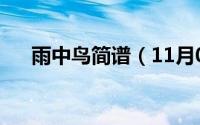 雨中鸟简谱（11月08日雨中鸟片尾曲）