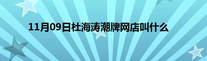 11月09日杜海涛潮牌网店叫什么