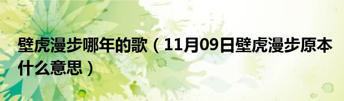 壁虎漫步哪年的歌（11月09日壁虎漫步原本什么意思）