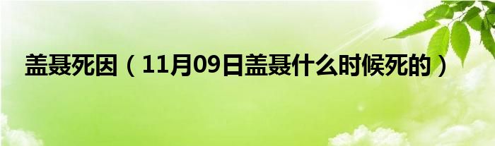 盖聂死因（11月09日盖聂什么时候死的）