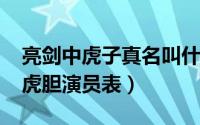 亮剑中虎子真名叫什（11月09日亮剑之英雄虎胆演员表）