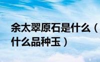 余太翠原石是什么（11月08日余太翠是属于什么品种玉）
