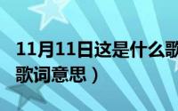 11月11日这是什么歌（11月09日月半弯李健歌词意思）