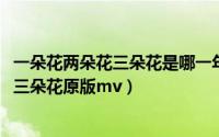 一朵花两朵花三朵花是哪一年的歌（10月08日一朵花两朵花三朵花原版mv）