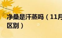 净桑是汗蒸吗（11月08日净桑和桑拿有什么区别）