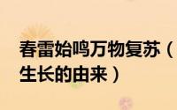 春雷始鸣万物复苏（10月08日春雷始鸣万物生长的由来）