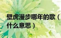 壁虎漫步哪年的歌（11月09日壁虎漫步原本什么意思）
