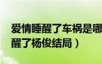 爱情睡醒了车祸是哪一集（11月09日爱情睡醒了杨俊结局）