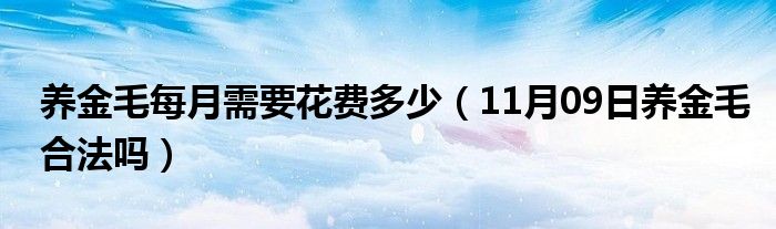 养金毛每月需要花费多少（11月09日养金毛合法吗）