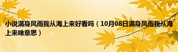 小说满身风雨我从海上来好看吗（10月08日满身风雨我从海上来啥意思）