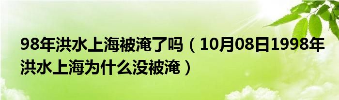 98年洪水上海被淹了吗（10月08日1998年洪水上海为什么没被淹）