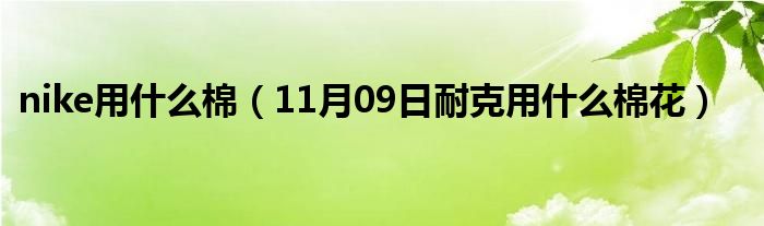 nike用什么棉（11月09日耐克用什么棉花）