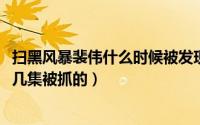 扫黑风暴裴伟什么时候被发现的（11月09日扫黑风暴裴伟第几集被抓的）