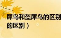 犀鸟和盔犀鸟的区别（11月09日鵎鵼和犀鸟的区别）