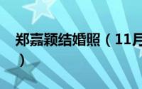 郑嘉颖结婚照（11月09日郑嘉颖结过几次婚）