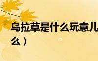 乌拉草是什么玩意儿（11月09日乌拉草是什么）