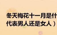 冬天梅花十一月是什么生肖（11月09日梅花代表男人还是女人）