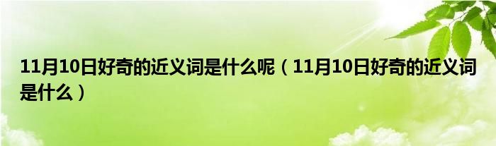 11月10日好奇的近义词是什么呢（11月10日好奇的近义词是什么）