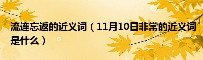 流连忘返的近义词（11月10日非常的近义词是什么）