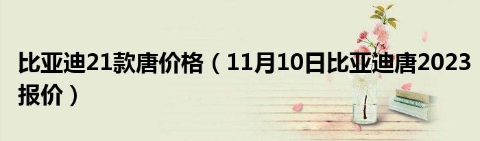 比亚迪21款唐价格（11月10日比亚迪唐2023报价）