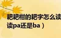 耙耙柑的耙字怎么读（11月10日耙耙柑到底读pa还是ba）
