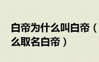 白帝为什么叫白帝（10月08日白帝战机为什么取名白帝）