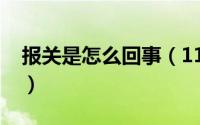 报关是怎么回事（11月10日报关是什么意思）