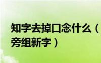 知字去掉口念什么（10月08日知去掉口加偏旁组新字）