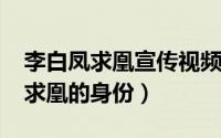 李白凤求凰宣传视频动画（11月10日李白凤求凰的身份）