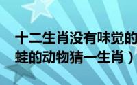 十二生肖没有味觉的动物（11月10日井底之蛙的动物猜一生肖）