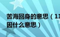 苦海回身的意思（11月10日苦海回身早悟兰因什么意思）