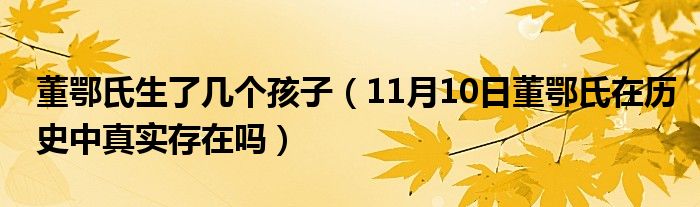 董鄂氏生了几个孩子（11月10日董鄂氏在历史中真实存在吗）