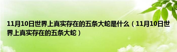 11月10日世界上真实存在的五条大蛇是什么（11月10日世界上真实存在的五条大蛇）